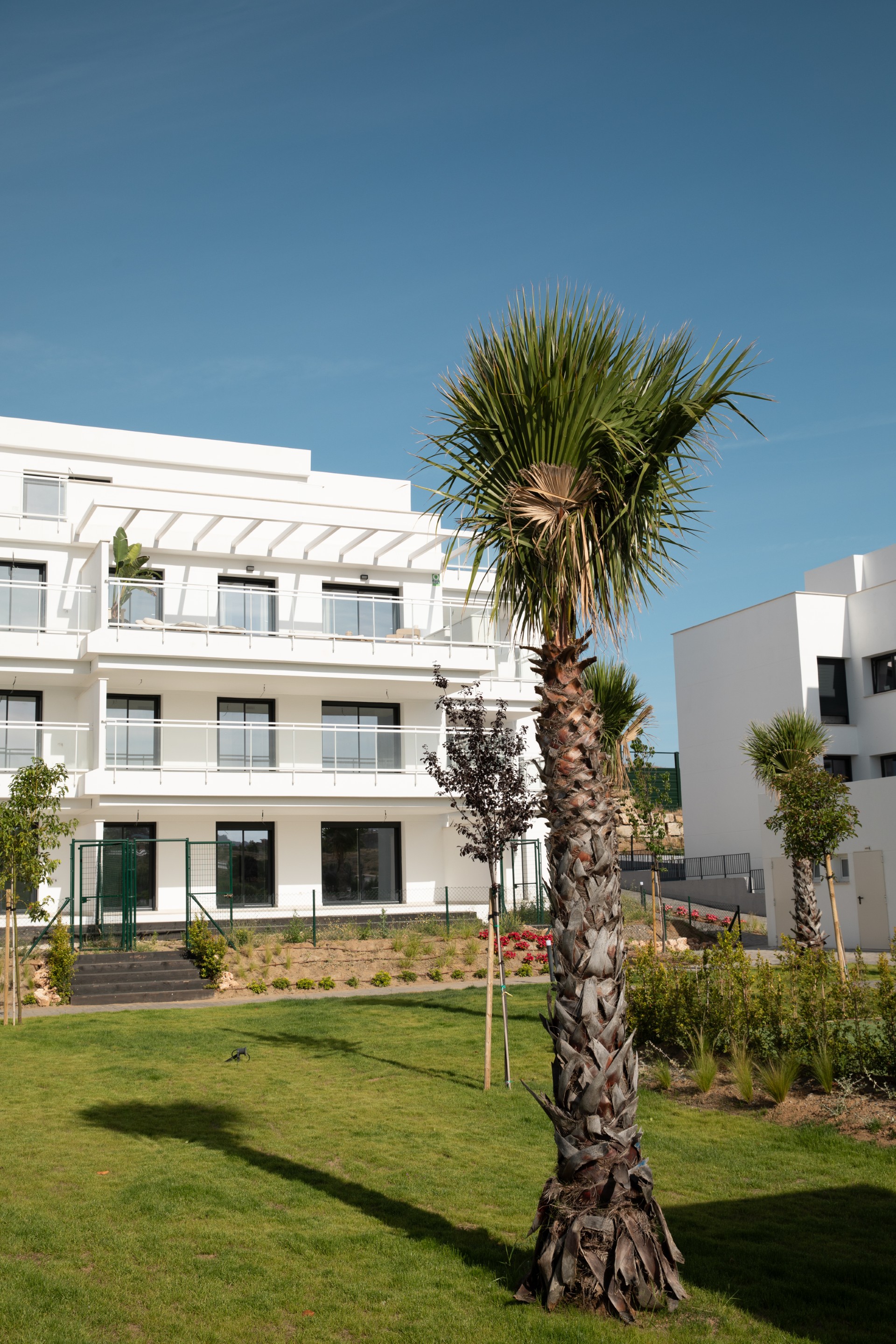 Wit appartementsgebouw met palmen en tuin